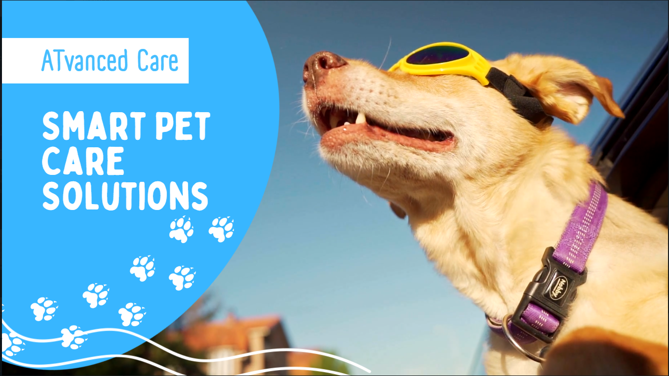 Smart Pet Care Solutions
